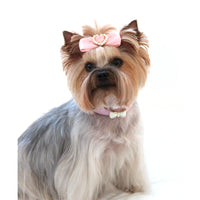 
              Pink Bow Collar
            