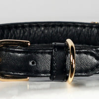 Black Bow Collar